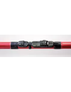 Canna da pesca - Carborex Bolo Canne da pesca Lineaeffe 2