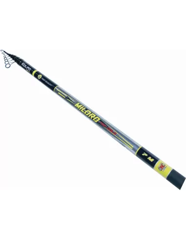Kolpo Combo Kit Pesca Bolognese mt 5 Canna in Carbonio Mulinello e Filo