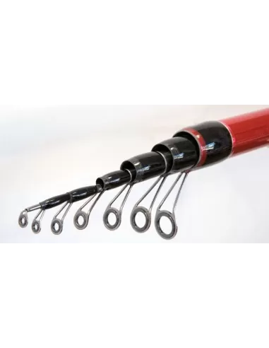 Canna da pesca - Carborex Bolo Canne da pesca Lineaeffe