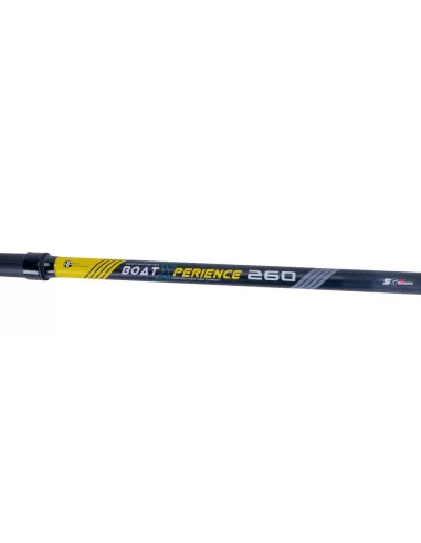 Sele Boat Xperience Canna da Pesca Gr 200 Pesca dalla Barca Canne da pesca Sele