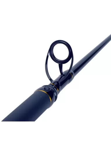 Sele Boat Xperience Canna da Pesca Gr 200 Pesca dalla Barca Canne da pesca Sele