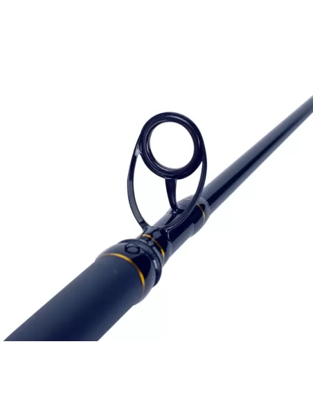 Sele Boat Xperience Canna da Pesca Gr 200 Pesca dalla Barca Canne da pesca Sele
