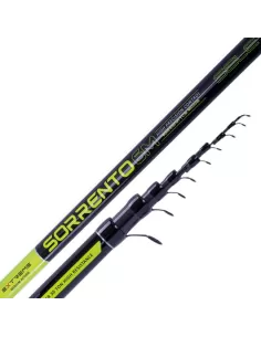 Sele Sorrento Canne da Pesca Bolognesi in Carbonio 30T Canne da pesca Sele 2