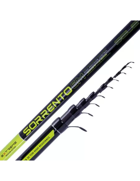 Sele Sorrento Canne da Pesca Bolognesi in Carbonio 30T Canne da pesca Sele