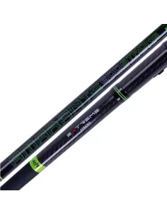 Sele Amarante Canne da Pesca Bolognese in Carbonio 40T Canne da pesca Sele 2