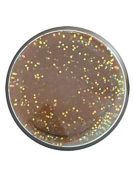 Berkley Powerbait Glitter Trout Bait Trout Pellet Pastella per Trote Esche da pesca Berkley