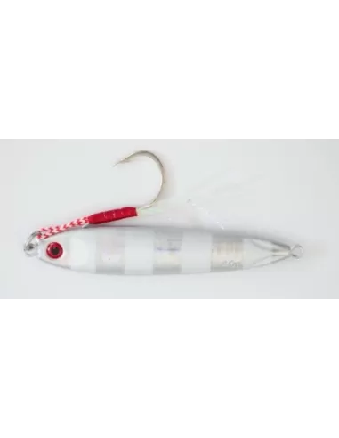 Jig Keliero Metal Jig con Assist Hook 60 gr Pesca Verticale