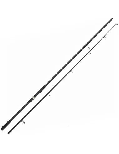 Ngt Xpr Canna da Pesca Storioni e siluri 3 mt 2 sezioni in Carbonio