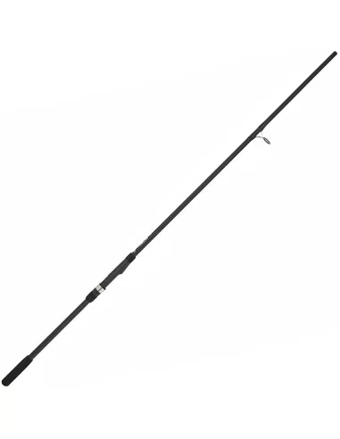 Ngt Xpr Canna da Pesca Storioni e siluri 3 mt 2 sezioni in Carbonio Canne da pesca per professionisti e principianti NGT