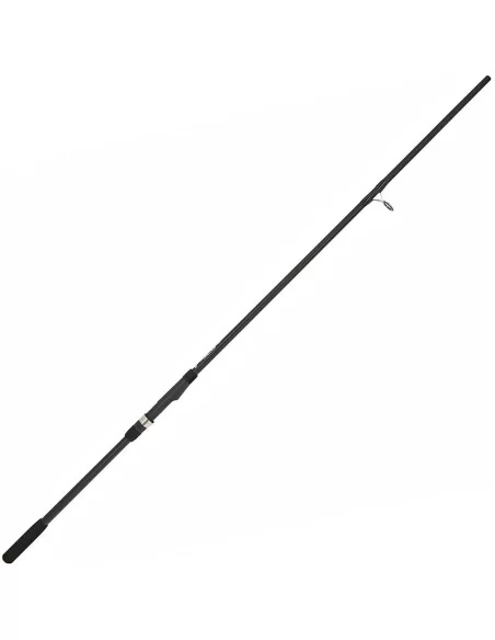 Ngt Xpr Canna da Pesca Storioni e siluri 3 mt 2 sezioni in Carbonio