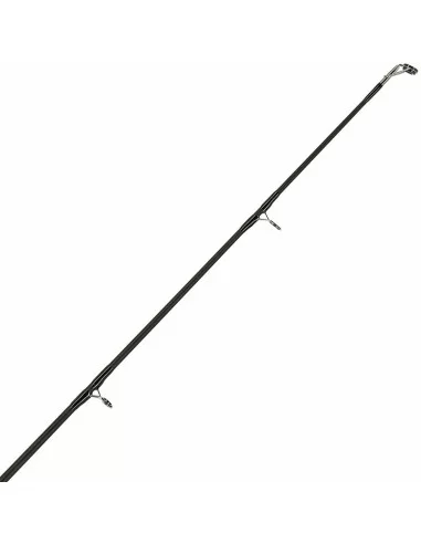 Ngt Xpr Canna da Pesca Storioni e siluri 3 mt 2 sezioni in Carbonio Canne da pesca per professionisti e principianti NGT