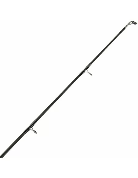 Ngt Xpr Canna da Pesca Storioni e siluri 3 mt 2 sezioni in Carbonio