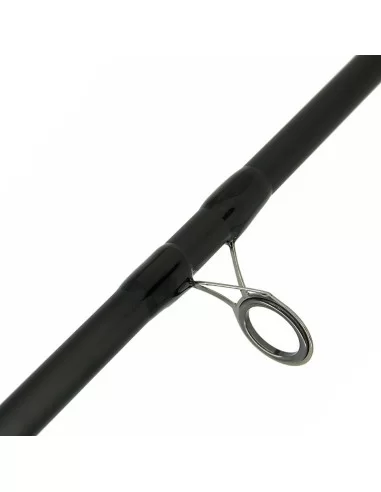 Ngt Xpr Canna da Pesca Storioni e siluri 3 mt 2 sezioni in Carbonio