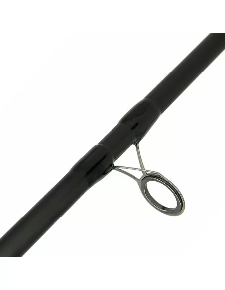 Ngt Xpr Canna da Pesca Storioni e siluri 3 mt 2 sezioni in Carbonio