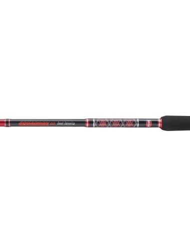Penn Squadron III Boat Sensitip Canna da Pesca per la Barca 2 vette 300 gr