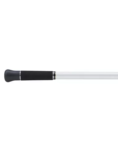 Penn Tidal Rough Ground Surf Rod Canne da Pesca Surfcasting in Carbonio 250 gr Canne da pesca Penn