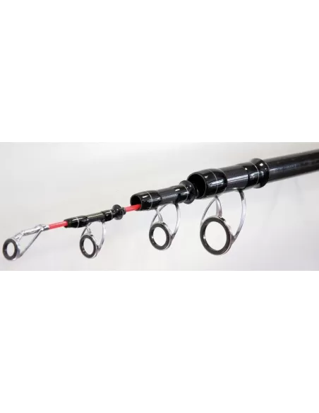 Canna da siluro - Big Fish Canne da pesca Lineaeffe