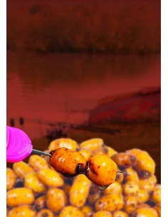 Dynamite Bait Booster Hookbaits Tiger Nuts Jumbo 500 ml  Mais e Granaglie Innesco e Pasturazione Dynamite 2