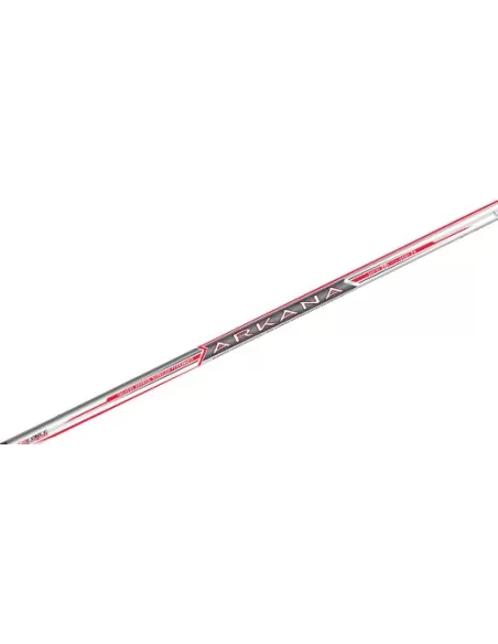 Colmic Arkana Bolognese Canna da Pesca 25 Grammi Canne da pesca Colmic