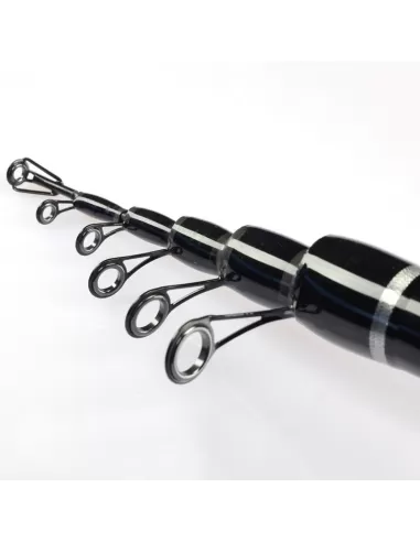 Sele Dyna Canna da Pesca Bolognese Azione Medium Canne da pesca Sele