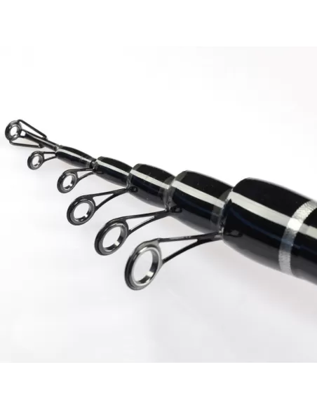 Sele Dyna Canna da Pesca Bolognese Azione Medium