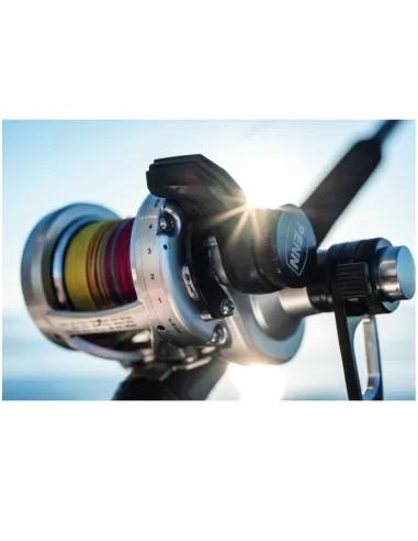 Penn Fathom II Lever Drag 2 Speed Mulinelli da Pesca Penn