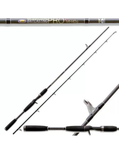 Canna da pesca Bait Casting Pro Spinning 40 Gr Canne da pesca Lineaeffe