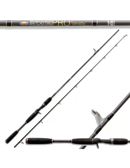 Canna da pesca Bait Casting Pro Spinning 40 Gr Canne da pesca Lineaeffe
