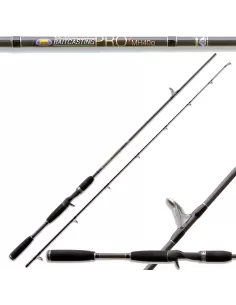 Canna da pesca Bait Casting Pro Spinning 60 Gr Canne da pesca Lineaeffe