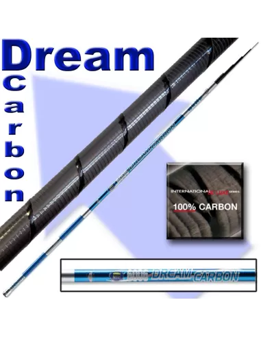 Canna da pesca fissa - Dream Carbon Pole Canne da pesca Lineaeffe
