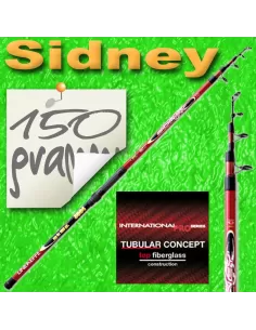 Casting fishing rod-Sidney 
