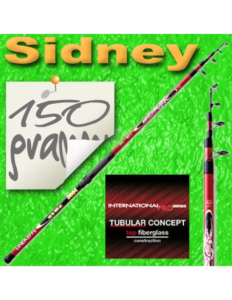 Canna da pesca surfcasting - Sidney Canne da pesca Lineaeffe