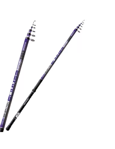 Summer Canna da pesca Bolognese Con Anelli a Ghiera Canne da pesca Sele
