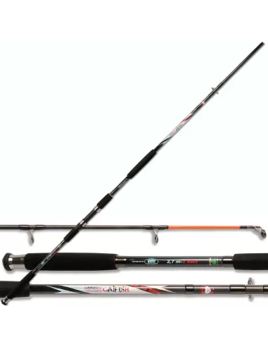 Canna da siluro - Carbon Catfish 350 Canne da pesca Lineaeffe