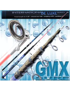 Canna da pesca surfcasting - GMX Surf 200 Mare Lineaeffe