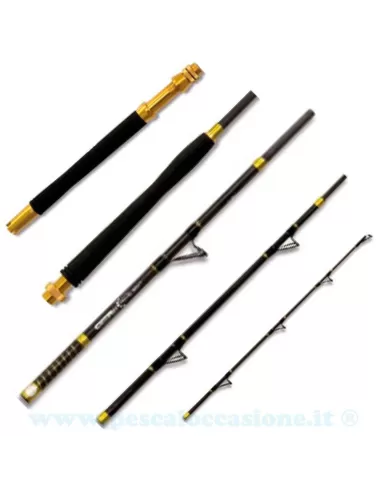 Canna da pesca - Carborex Travel Boat Canne da pesca Lineaeffe
