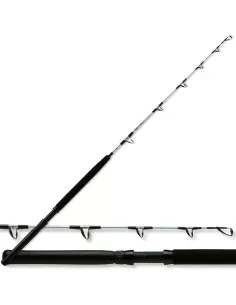 Lineaeffe Miami Canna da Pesca Traina Canne da pesca Lineaeffe