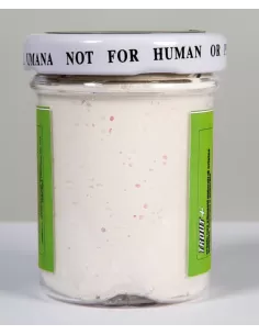 White Pasta 