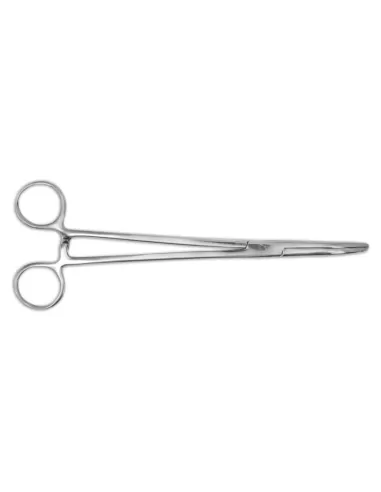 Pinza inox curva cm 20 Accessori da pesca Lineaeffe