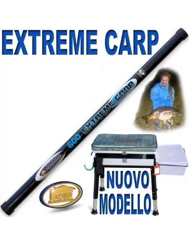 Combo Roubaisienne e panchetto Canne da pesca Lineaeffe