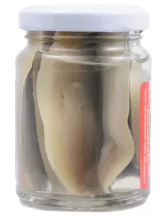 Next bait-Sarda 