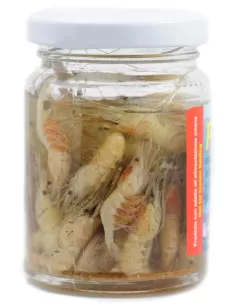 Esca sottoliquido - Gamberetto Esche da pesca Antiche Pasture