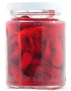 Esca sottoliquido - Gamberetto Rosso Esche da pesca Antiche Pasture