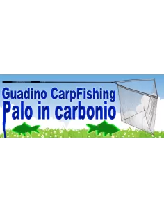 CARP pole and head Kit 
