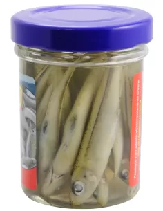 Next bait-Minnows 