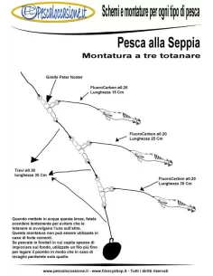 Montatura Totanara Tripla Montature Altro