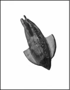 Lead Arrow