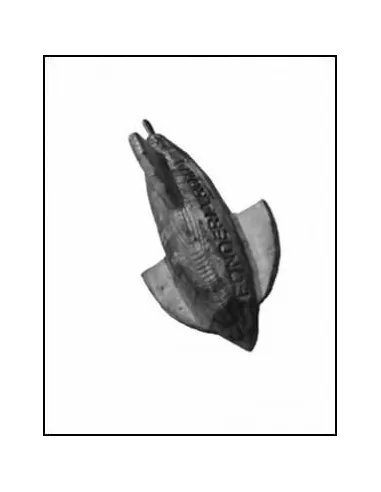 Piombo Arrow con anello inox Fonderia Roma Piombi Fonderia roma