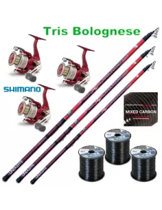 Combo bolognese shimano reels 