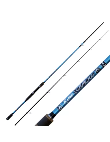 Lineaeffe Saltwater Spinn Canna da Pesca Spinning Canne da pesca Lineaeffe